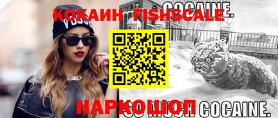 шишки Кандалакша