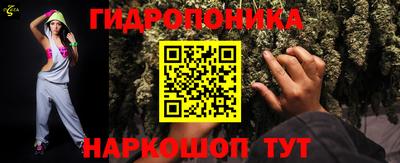 дурь Камышлов
