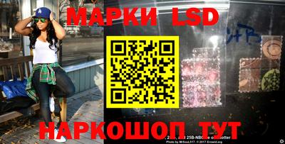 шишки Кандалакша