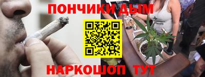 дурь Камышлов