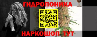 гашик Канаш