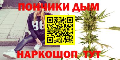 дурь Камышлов
