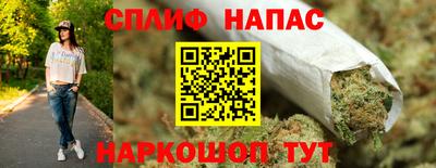 шишки Кандалакша