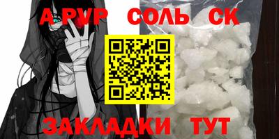 шишки Кандалакша