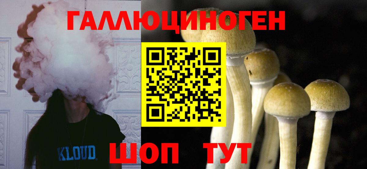 Галлюциногенные грибы Psilocybine cubensis  Вход с VPN  Галлюциногенные грибы Magic Shrooms  Луга 